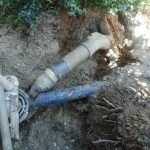 whatsapp-image-2025-11-06-at-093242-bb9151b7